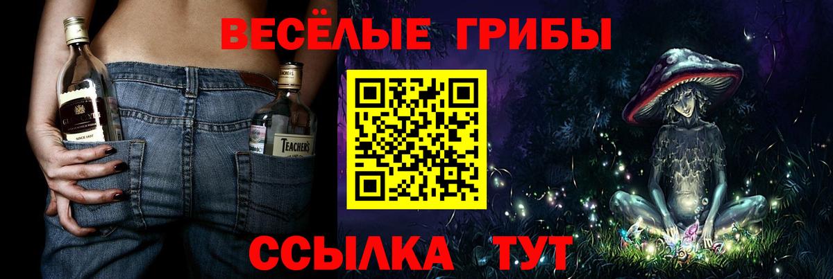 Псилоцибиновые грибы GOLDEN TEACHER Кандалакша