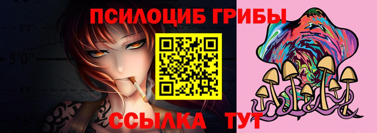 Галлюциногенные грибы GOLDEN TEACHER  как найти закладки  Кандалакша  Вход с VPN  Псилоцибиновые грибы GOLDEN TEACHER 